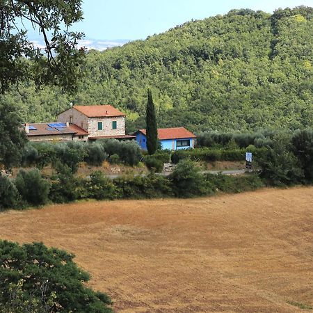 Casa Maria Villa Magliano in Toscana Exterior photo