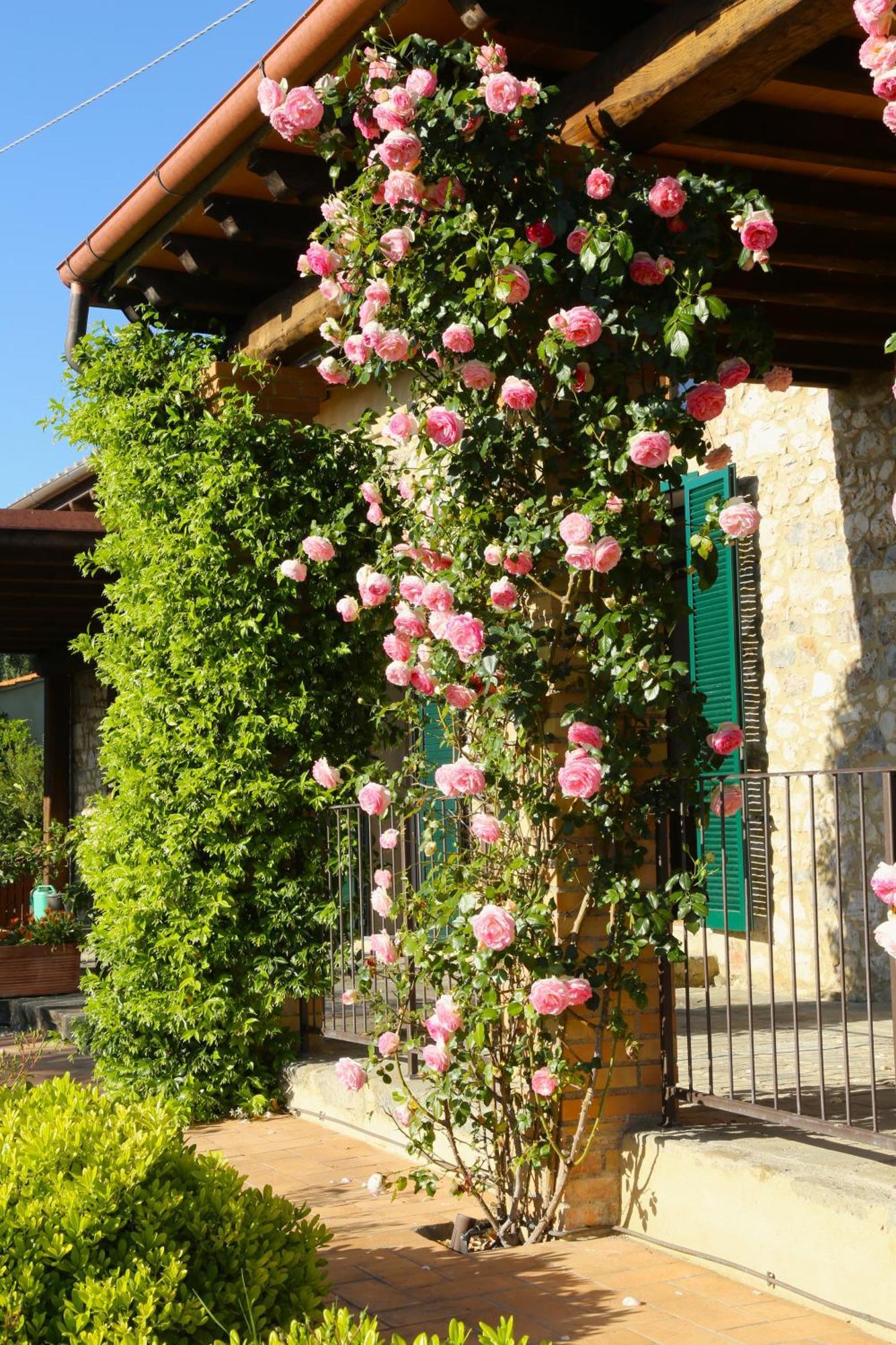 Casa Maria Villa Magliano in Toscana Exterior photo